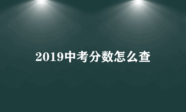 2019中考分数怎么查