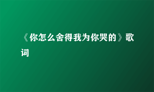 《你怎么舍得我为你哭的》歌词