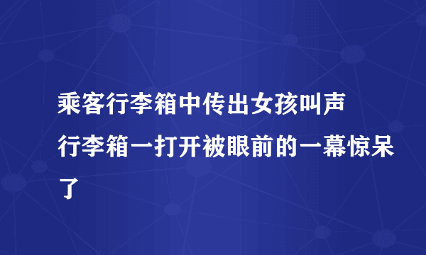 乘客行李箱中传出女孩叫声 行李箱一打开被眼前的一幕惊呆了