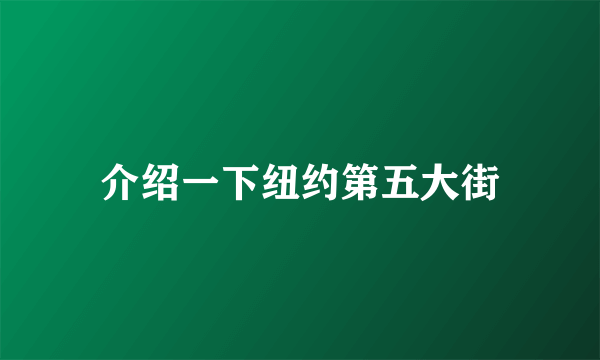 介绍一下纽约第五大街