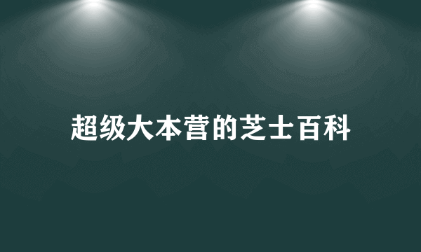 超级大本营的芝士百科