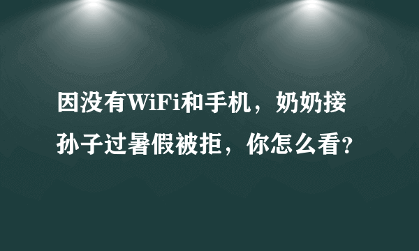 因没有WiFi和手机，奶奶接孙子过暑假被拒，你怎么看？