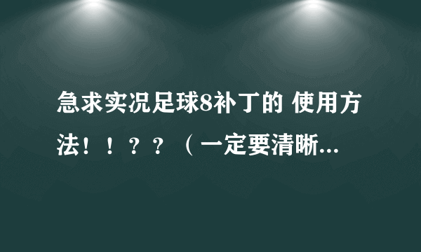 急求实况足球8补丁的 使用方法！！？？（一定要清晰具体啊！！）