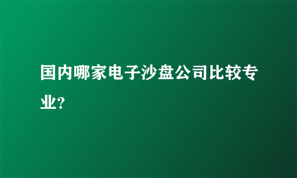 国内哪家电子沙盘公司比较专业？