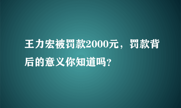 王力宏被罚款2000元，罚款背后的意义你知道吗？