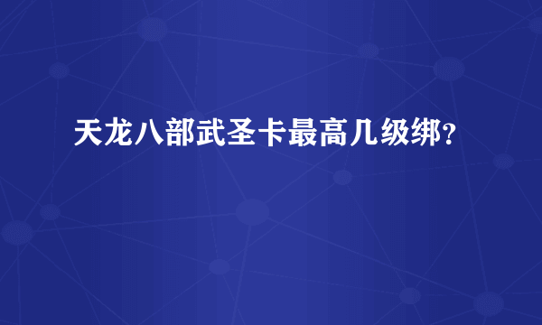 天龙八部武圣卡最高几级绑？