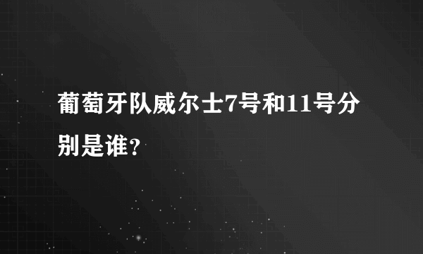 葡萄牙队威尔士7号和11号分别是谁？