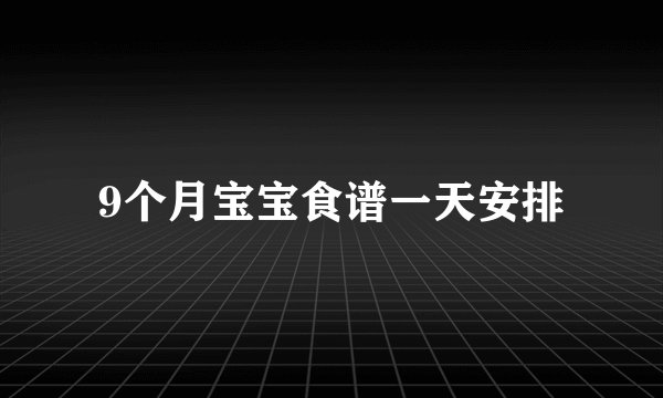 9个月宝宝食谱一天安排