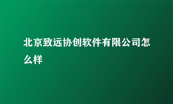 北京致远协创软件有限公司怎么样