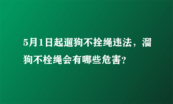 5月1日起遛狗不拴绳违法，溜狗不栓绳会有哪些危害？