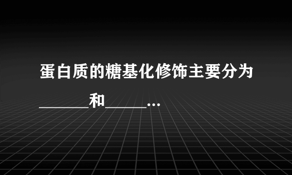 蛋白质的糖基化修饰主要分为______和______；其中______主要在内质网中进行，而______则主要在______中进行。