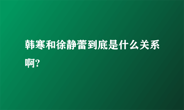 韩寒和徐静蕾到底是什么关系啊?