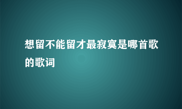 想留不能留才最寂寞是哪首歌的歌词