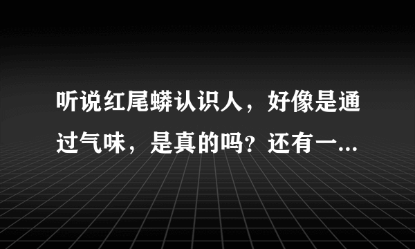 听说红尾蟒认识人，好像是通过气味，是真的吗？还有一般长多大？