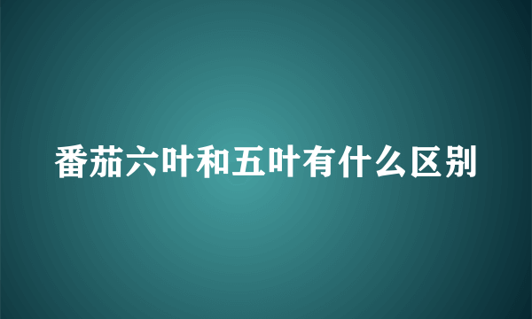 番茄六叶和五叶有什么区别