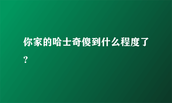 你家的哈士奇傻到什么程度了？