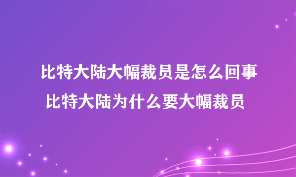 比特大陆大幅裁员是怎么回事 比特大陆为什么要大幅裁员