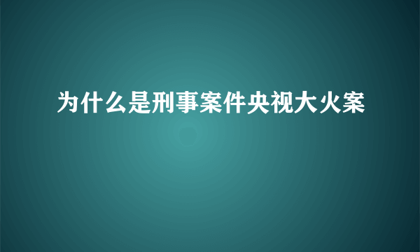 为什么是刑事案件央视大火案