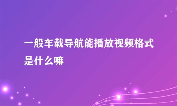 一般车载导航能播放视频格式是什么嘛