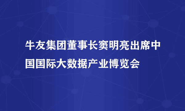 牛友集团董事长窦明亮出席中国国际大数据产业博览会