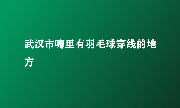 武汉市哪里有羽毛球穿线的地方