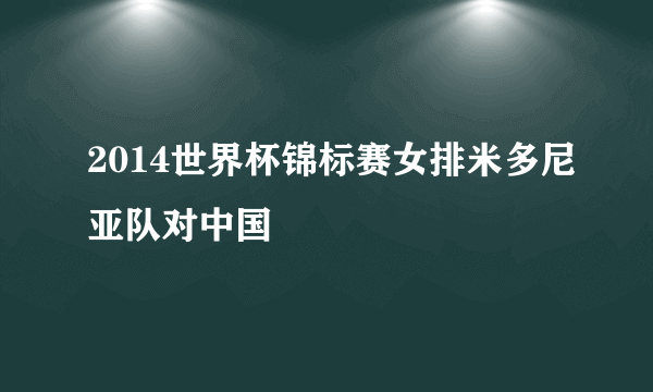 2014世界杯锦标赛女排米多尼亚队对中国