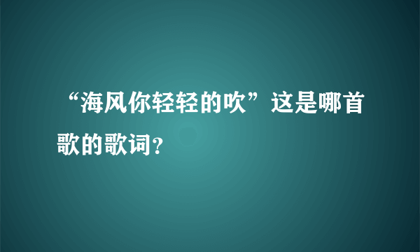 “海风你轻轻的吹”这是哪首歌的歌词？