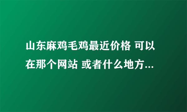 山东麻鸡毛鸡最近价格 可以在那个网站 或者什么地方可以查询得到