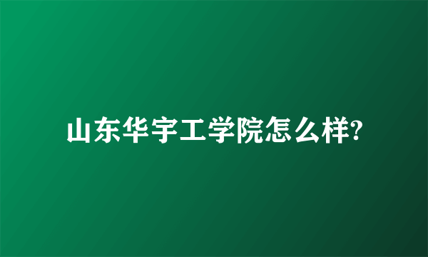 山东华宇工学院怎么样?