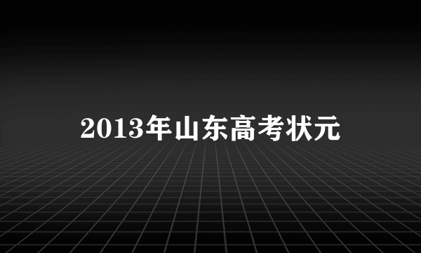 2013年山东高考状元