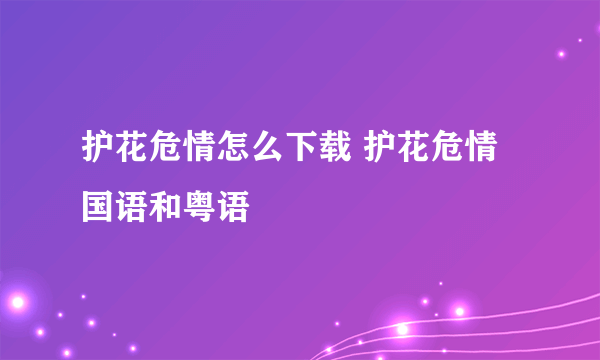 护花危情怎么下载 护花危情国语和粤语