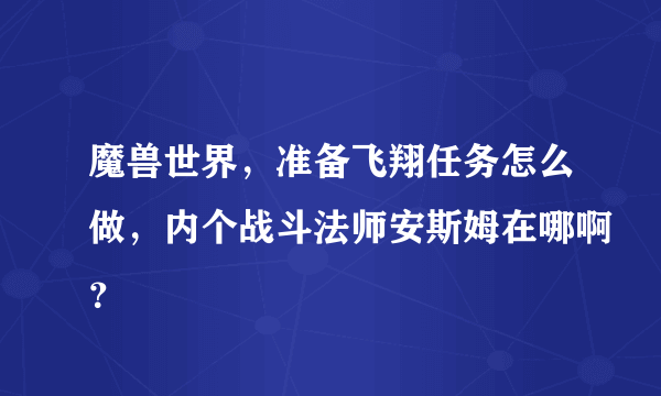 魔兽世界，准备飞翔任务怎么做，内个战斗法师安斯姆在哪啊？