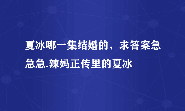 夏冰哪一集结婚的，求答案急急急.辣妈正传里的夏冰