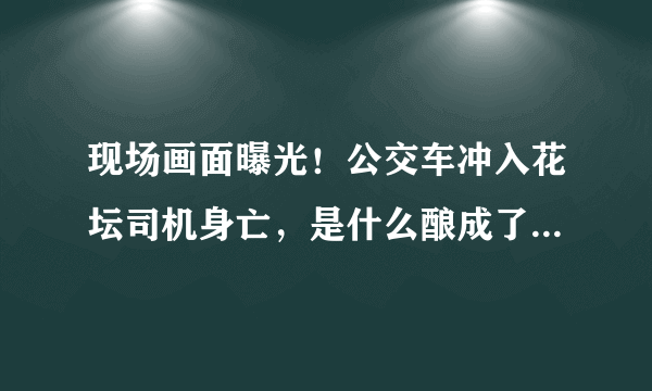 现场画面曝光！公交车冲入花坛司机身亡，是什么酿成了这起惨剧？