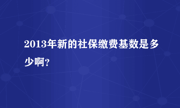 2013年新的社保缴费基数是多少啊？