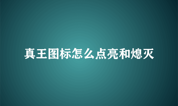 真王图标怎么点亮和熄灭