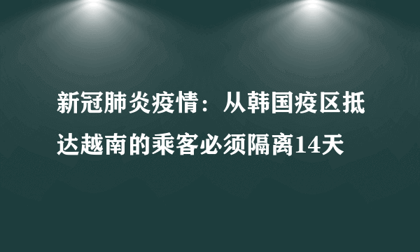 新冠肺炎疫情：从韩国疫区抵达越南的乘客必须隔离14天