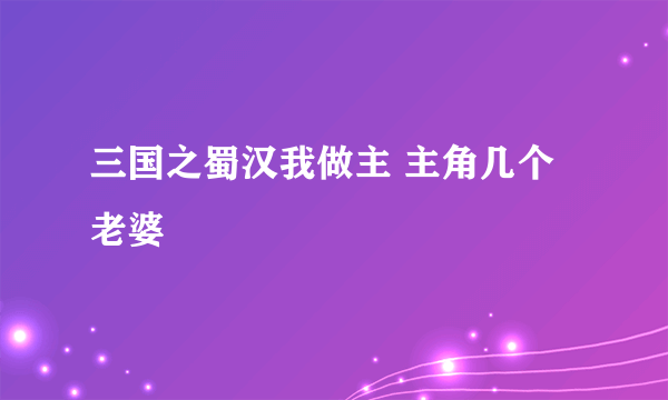 三国之蜀汉我做主 主角几个老婆