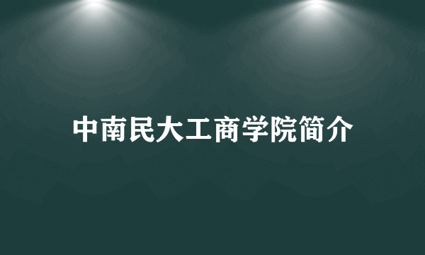 中南民大工商学院简介