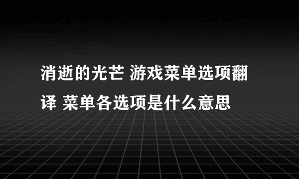 消逝的光芒 游戏菜单选项翻译 菜单各选项是什么意思