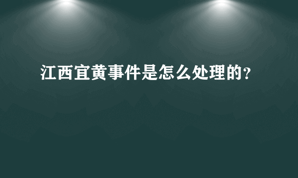 江西宜黄事件是怎么处理的？