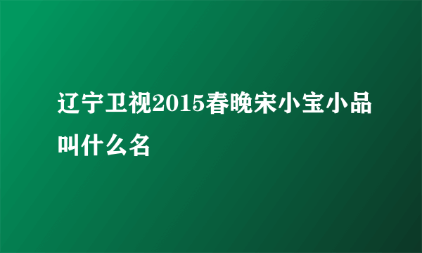 辽宁卫视2015春晚宋小宝小品叫什么名