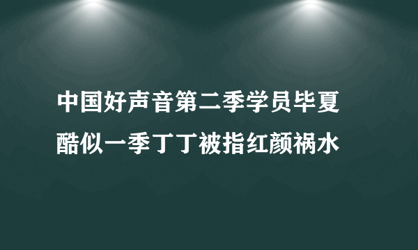 中国好声音第二季学员毕夏 酷似一季丁丁被指红颜祸水