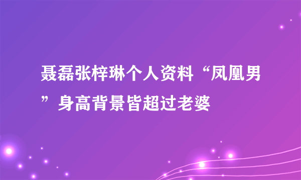 聂磊张梓琳个人资料“凤凰男”身高背景皆超过老婆