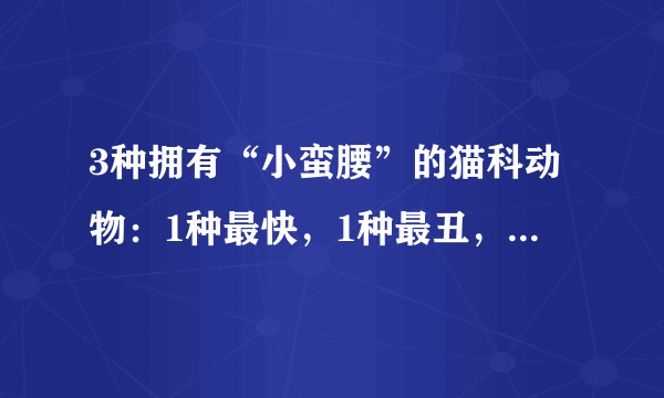 3种拥有“小蛮腰”的猫科动物：1种最快，1种最丑，1种最高挑