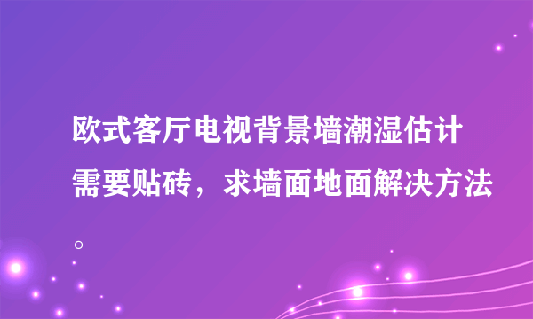 欧式客厅电视背景墙潮湿估计需要贴砖，求墙面地面解决方法。