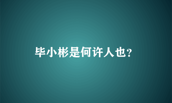 毕小彬是何许人也？