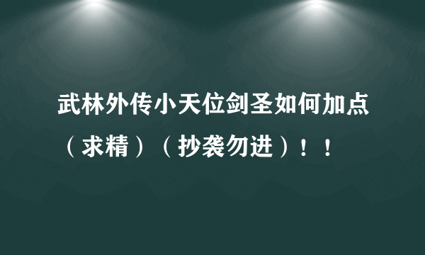 武林外传小天位剑圣如何加点（求精）（抄袭勿进）！！