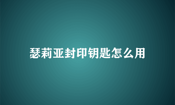 瑟莉亚封印钥匙怎么用