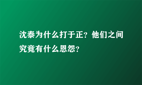 沈泰为什么打于正？他们之间究竟有什么恩怨？